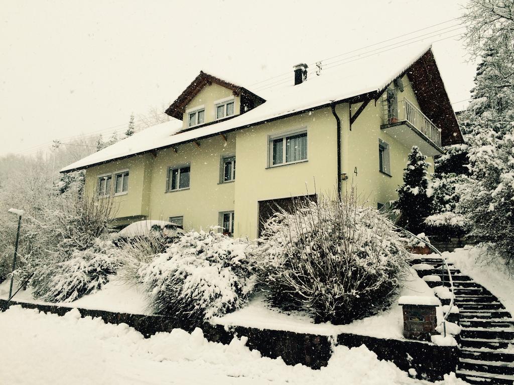 Ferienwohnung Dieterle Wutoschingen Номер фото